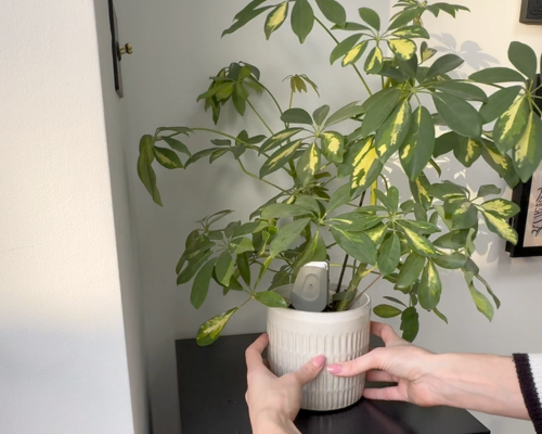 Step 3: Start getting insights